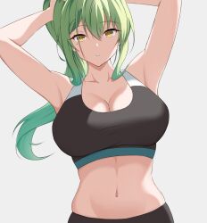 Rule 34 | 1girl, breasts, ceres fauna, cleavage, collarbone, green hair, hololive, hololive english, large breasts, looking at viewer, mole, mole under eye, navel, opera, ponytail, self-upload, solo, sports bra, stomach, virtual youtuber, yellow eyes, zeropen