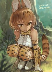 Rule 34 | 10s, 1girl, animal ears, bare shoulders, bow, bowtie, breasts, brown hair, cat ears, cat tail, elbow gloves, gloves, highres, kemono friends, serval (kemono friends), serval tail, short hair, smile, solo, squatting, striped tail, tail, toro (konirio), yellow eyes