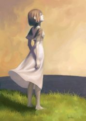 Rule 34 | 1girl, barefoot, brown hair, dress, grass, horizon, ico, looking up, nature, ocean, outdoors, pale skin, short hair, signature, sky, solo, standing, vince price, water, white dress, wind, wind lift, yorda