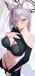 Rule 34 | 1girl, animal ear fluff, blue archive, blue shirt, bra, breasts, clothes lift, clothes pull, grey hair, groin, highres, kazane-wind, large breasts, looking at viewer, lowleg, lowleg panties, panties, panty pull, shiroko (blue archive), shiroko terror (blue archive), shirt, shirt lift, solo, underwear