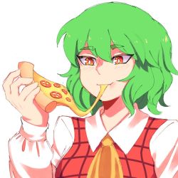 Rule 34 | 1girl, ascot, cheese trail, collared shirt, eating, food, green hair, hanaarts, holding, holding food, holding pizza, kazami yuuka, long sleeves, pizza, pizza slice, plaid, plaid vest, portrait, red eyes, shirt, short hair, solo, touhou, vest, white background