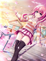 Rule 34 | 1girl, blush, cherry blossoms, highres, house, long hair, nana asta deviluke, outdoors, panties, pantyshot, pink eyes, pink hair, pink panties, skirt, sky, solo, stairs, sweater, thighhighs, to love-ru, twintails, underwear, upskirt, wind, wind lift, xyomouse