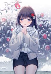 Rule 34 | 1girl, black hair, black shorts, blue eyes, blush, branch, breathing on hands, camellia, commentary request, flower, fringe trim, grey jacket, hair flower, hair intakes, hair ornament, hands up, highres, jacket, long sleeves, looking at viewer, myusha, open clothes, open jacket, open mouth, original, own hands together, plaid, plaid scarf, red flower, scarf, shirt, short shorts, shorts, signature, sitting, sleeves past wrists, snow, snowing, solo, white flower, white shirt