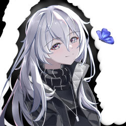 Rule 34 | 1girl, absurdres, black jacket, black scarf, black shirt, blue butterfly, bug, butterfly, casual, chinese commentary, closed mouth, girls&#039; frontline, grey eyes, grey hair, highres, insect, jacket, light blush, long hair, looking at viewer, multicolored eyes, nyto (girls&#039; frontline), one smoke, open clothes, open jacket, paradeus, scarf, shirt, smile, solo, tayarroth (girls&#039; frontline), upper body, whistle, whistle around neck, white background