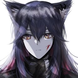 Rule 34 | 1girl, animal ears, arknights, black hair, blood, blood on face, closed mouth, earrings, expressionless, hair between eyes, jewelry, long hair, looking at viewer, muted color, onun, orange eyes, portrait, simple background, solo, texas (arknights), twitter username, white background