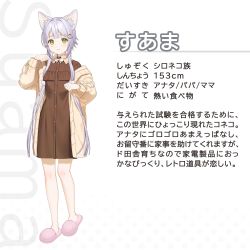 Rule 34 | 1girl, animal ears, cat ears, cat girl, character name, character profile, coat, collared dress, dress, full body, green eyes, hands up, highres, koyoi mitsuki, long hair, looking at viewer, original, pink footwear, shoes, sidelocks, silver hair, slippers, solo, standing, standing on one leg