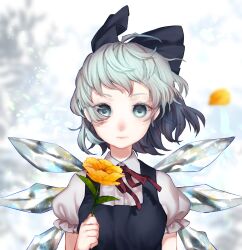 Rule 34 | 1girl, blue bow, blue dress, blue eyes, blue hair, blurry, blurry background, bow, breasts, buttons, cirno, closed mouth, collared shirt, dress, flower, frilled sleeves, frills, hair bow, highres, holding, holding flower, ice, ice wings, looking at viewer, neck ribbon, pinafore dress, puffy short sleeves, puffy sleeves, red ribbon, ribbon, shirt, short hair, short sleeves, simple background, sleeveless dress, small breasts, solo, touhou, upper body, white shirt, wings, yellow flower, zunsun