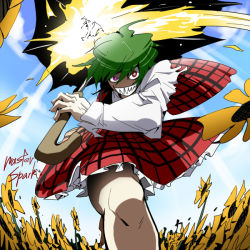 Rule 34 | 1girl, crazy, crazy eyes, evil grin, evil smile, female focus, field, flower, flower field, green hair, grin, incoming attack, kazami yuuka, master spark, pageratta, plaid, plaid skirt, plaid vest, red eyes, sharp teeth, short hair, skirt, skirt set, smile, solo, teeth, touhou, umbrella, vest, you gonna get raped