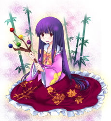 Rule 34 | 1girl, bamboo, bamboo forest, branch, female focus, forest, houraisan kaguya, jeweled branch of hourai, long hair, nature, ogakuru, purple hair, red eyes, solo, touhou