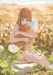 Rule 34 | 1girl, absurdres, animal ears, barefoot, brown hair, day, field, flower, hehuyezi, highres, holo, hugging own tail, hugging tail, nude, outdoors, red eyes, rock, sitting, solo, spice and wolf, tail, white flower, wolf ears, wolf tail
