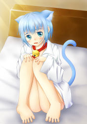 Rule 34 | 1boy, animal ears, barefoot, bed, bell, blue eyes, blue hair, blush, bottomless, cat boy, cat ears, cat tail, doraemon, doraemon (character), dress shirt, highres, male focus, matching hair/eyes, mu-minndani-24-78, on bed, open clothes, open mouth, open shirt, personification, scarf, shirt, solo, sunlight, tail