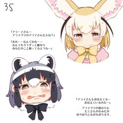 Rule 34 | 10s, 2girls, animal ears, brown eyes, comic, common raccoon (kemono friends), crying, crying with eyes open, fennec (kemono friends), fox ears, happy tears, highres, kemono friends, multiple girls, page number, raccoon ears, shimanoji, simple background, smile, tears, translated, white background