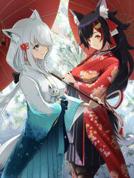 Rule 34 | 2girls, ahoge, animal ear fluff, animal ears, black hair, black pantyhose, braid, chiga akira, commentary request, earrings, fox ears, fox girl, fox tail, green eyes, hair between eyes, hair ornament, hair over one eye, hairclip, highres, hololive, japanese clothes, jewelry, kimono, long hair, looking at another, multicolored hair, multiple girls, oil-paper umbrella, ookami mio, ookami mio (new year), pantyhose, red hair, red kimono, shirakami fubuki, shirakami fubuki (new year), sidelocks, single braid, smile, streaked hair, sukonbu (shirakami fubuki), tail, tail around own leg, umbrella, virtual youtuber, white hair, white kimono, wolf, wolf girl, wolf tail