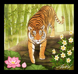 Rule 34 | animal, animal focus, bamboo, black border, border, flower, leaf, looking at viewer, no humans, original, pink flower, plant, signature, takigraphic, tiger, white flower