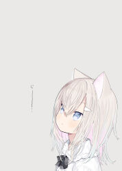 Rule 34 | 1girl, :&lt;, animal ears, black bow, blue eyes, blush, bow, brown hair, capriccio, cat ears, closed mouth, collared shirt, commentary request, frilled shirt collar, frills, from side, grey background, hair between eyes, highres, long hair, original, shirt, simple background, solo, staring, upper body, white shirt
