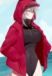 Rule 34 | 1girl, animal ears, arknights, black one-piece swimsuit, blue sky, breasts, closed mouth, commentary, covered navel, cowboy shot, day, grey eyes, grey hair, hands in pockets, highres, hood, hooded jacket, jacket, kyousuzu, large breasts, long sleeves, official alternate costume, one-piece swimsuit, open clothes, open jacket, outdoors, projekt red (arknights), projekt red (light breeze) (arknights), redrawn, short hair, sky, solo, standing, swimsuit, tail, thigh strap, water, wolf ears, wolf tail