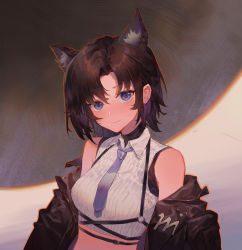 Rule 34 | 1girl, a-soul, absurdres, animal ear fluff, animal ears, bare shoulders, black hair, black jacket, breasts, carol (a-soul), chest harness, collared shirt, crop top, harness, highres, jacket, looking at viewer, medium breasts, midriff, necktie, off shoulder, open clothes, open jacket, qingshu, ribbed shirt, shirt, short hair, sleeveless, sleeveless shirt, smile, solo, undershirt, upper body, virtual youtuber, white shirt