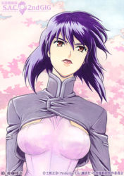 Rule 34 | 00s, 1girl, cherry blossoms, ghost in the shell, ghost in the shell stand alone complex, kusanagi motoko, lipstick, lowres, makeup, purple hair, red eyes, short hair, solo
