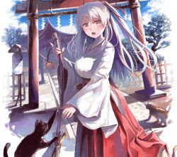 Rule 34 | 1girl, alternate costume, blue sky, breasts, broom, brown eyes, cat, cloud, cloudy sky, conte di cavour (kancolle), grey hair, hakama, hakama skirt, japanese clothes, kantai collection, kimono, large breasts, long hair, long sleeves, mat (seiga38529), miko, official alternate costume, outdoors, red hakama, ribbon-trimmed sleeves, ribbon trim, shrine, skirt, sky, tiger, torii, tree, twintails, two side up, white kimono, wide sleeves