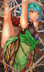 Rule 34 | 1girl, antennae, arms up, bare legs, barefoot, bdsm, blue hair, bondage, bound, breasts, brown eyes, bug, butterfly wings, commentary request, dress, eternity larva, feet out of frame, gluteal fold, green dress, hair ornament, highres, insect wings, leaf, leaf hair ornament, leaf on head, leotard, multicolored clothes, multicolored dress, open mouth, short sleeves, shounen (hogehoge), silk, small breasts, spider, spider web, split, standing, standing on one leg, standing split, sweat, touhou, wings