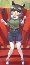 Rule 34 | 1girl, :d, animal ears, belt, black eyes, black shorts, boots, bow, bowtie, degu (kemono friends), footwear bow, full body, fur collar, gloves, green hair, green shirt, hands up, juliet sleeves, kemono friends, pantyhose under shorts, long sleeves, looking at viewer, open mouth, pantyhose, puffy sleeves, shirt, short hair, shorts, smile, solo, standing, tadano magu, tail, white bow, white bowtie, white footwear, white gloves, white hair, white pantyhose