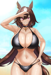 Rule 34 | 1girl, absurdres, alternate costume, animal ears, anus, arm up, armpits, beach, bikini, black bikini, black choker, blue sky, breasts, brown hair, choker, cleavage, cloud, cloudy sky, commentary request, cowboy shot, ear ornament, hand on own hip, highres, horse ears, horse girl, horse tail, jewelry, large breasts, looking at viewer, multicolored hair, navel, necklace, ocean, outdoors, red eyes, sand, sirius symboli (umamusume), sky, solo, streaked hair, swimsuit, tail, tessa (uma orfevre), umamusume, water, white hair