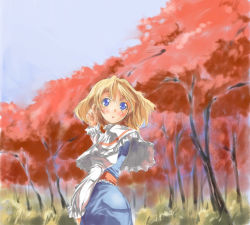 Rule 34 | 1girl, alice margatroid, autumn, female focus, nature, outdoors, plant, sky, solo, standing, touhou, tree, yohane