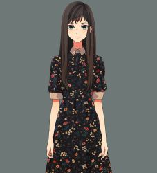 Rule 34 | 1girl, arms at sides, brown hair, casual, closed mouth, collared dress, collared shirt, commentary, cowboy shot, dress, dress shirt, eyelashes, fashion, fingernails, floral print, frown, green eyes, grey background, kurokeisin, long dress, long hair, long skirt, looking at viewer, original, pleated skirt, shirt, short sleeves, simple background, skirt, solo, standing