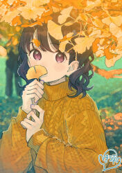 Rule 34 | 1girl, absurdres, black hair, blurry, blurry background, commentary request, fukumaru koito, ginkgo leaf, highres, idolmaster, idolmaster shiny colors, leaf, long hair, long sleeves, looking at viewer, paayan (hagakinorock54), purple eyes, solo, sweater, swept bangs, turtleneck, turtleneck sweater, twintails, upper body