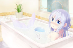 Rule 34 | 1girl, absurdres, bath, bathing, bathroom, bathtub, blue eyes, blue hair, blush, commentary request, completely nude, dated, flower pot, glass, gochuumon wa usagi desu ka?, hair between eyes, highres, kafuu chino, long hair, looking at viewer, looking back, mermaid, monster girl, nude, open mouth, partially submerged, plant, solo, troll z0r, window