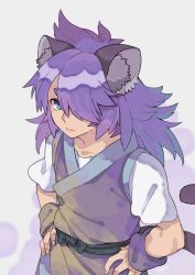 Rule 34 | 1boy, animal ears, blue eyes, fengxi (the legend of luoxiaohei), hair over one eye, hands on own hips, highres, long hair, looking at viewer, purple hair, rkp, short sleeves, solo, tail, luo xiaohei zhanji, upper body, aged down