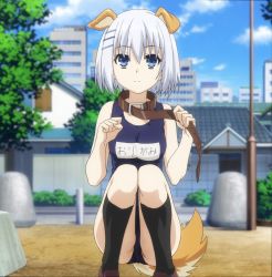 Rule 34 | 10s, 1girl, animal collar, animal ears, ass, black socks, blue eyes, blue one-piece swimsuit, blurry, breasts, brown footwear, building, bush, clenched hand, cloud, collar, date a live, day, depth of field, dog ears, dog tail, expressionless, frown, full body, hair between eyes, hair ornament, hairclip, highres, holding, kemonomimi mode, kneehighs, lamppost, leash, legs together, loafers, looking at viewer, medium breasts, name tag, old school swimsuit, one-piece swimsuit, outdoors, park, paw pose, school swimsuit, screencap, shoes, short hair, sky, skyscraper, socks, solo, squatting, swimsuit, tail, tobiichi origami, tree, white hair