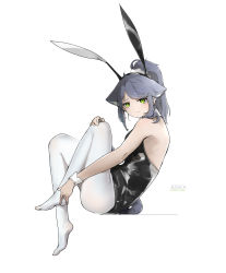 Rule 34 | animal ear fluff, animal ears, arknights, bare shoulders, black hair, black hairband, cat ears, cat tail, character name, closed mouth, clothing cutout, english text, fake animal ears, from side, full body, green eyes, hairband, hand on own knee, highres, jessica (arknights), knees up, leotard, long hair, looking at viewer, looking to the side, no shoes, pantyhose, playboy bunny, ponytail, rabbit ears, shinnasuka025, simple background, sitting, swept bangs, tail, tail through clothes, white pantyhose, wrist cuffs