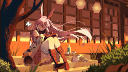 Rule 34 | 1girl, alcohol, animal, animal ears, architecture, bare shoulders, boots, bottle, bug, butterfly, cat, chayinlulu, closed eyes, closed mouth, cup, drinking glass, east asian architecture, fox ears, fox mask, full body, grass, highres, honkai (series), honkai impact 3rd, insect, japanese clothes, kimono, long hair, mask, miko, outdoors, pink skirt, purple footwear, sitting, skirt, sleeping, solo, thighhighs, tray, tree, white butterfly, white kimono, white thighhighs, wine, wine bottle, wine glass, yae sakura, yae sakura (gyakushinn miko)