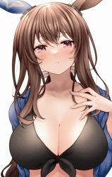Rule 34 | 1girl, admire vega (umamusume), animal ears, bikini, black bikini, blue shirt, blush, breasts, brown hair, cleavage, closed mouth, collarbone, ear covers, front-tie bikini top, front-tie top, hand on own chest, horse ears, large breasts, long hair, long sleeves, looking at viewer, low ponytail, open clothes, open shirt, purple eyes, red hayao, shirt, simple background, solo, swimsuit, umamusume, upper body, white background