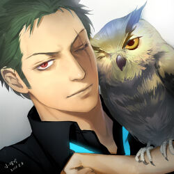 Rule 34 | 1boy, animal, bird, black shirt, closed mouth, commentary, commentary request, dated, english commentary, green hair, looking at viewer, male focus, mixed-language commentary, one eye closed, one piece, owl, red eyes, roronoa zoro, scar, scar across eye, scar on face, shirt, short hair, solo, vovo2000