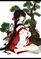 Rule 34 | 1girl, :t, bare legs, barefoot, black hair, bonsai, clock, detached sleeves, drawer, from side, full body, hakama, hakama skirt, japanese clothes, karei (hirameme), letterboxed, long hair, long sleeves, looking at viewer, miko, newspaper, original, pillow, plant, ribbon-trimmed sleeves, ribbon trim, scissors, simple background, sitting, skirt, solo, stuffed animal, stuffed rabbit, stuffed toy, tree, very long hair, wariza, white background, yellow eyes