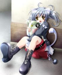 Rule 34 | 1girl, :d, ahoge, animal ears, cat ears, cat girl, cat tail, eyepatch, fang, female focus, full body, grey hair, open mouth, original, shorts, side ponytail, smile, solo, stuffed animal, stuffed toy, ta kaana, tail, yellow eyes
