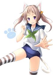 Rule 34 | 1girl, animal ears, brown hair, cat ears, long hair, no pants, old school swimsuit, one-piece swimsuit, open mouth, original, purple eyes, ribbon, school swimsuit, school uniform, serafuku, shibacha (shibacha 0728), shirt, smile, solo, standing, standing on one leg, striped clothes, striped thighhighs, swimsuit, swimsuit under clothes, tail, thighhighs, twintails