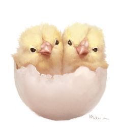 Rule 34 | animal focus, bad id, bad pixiv id, bird, black eyes, chick, commentary request, egg, highres, looking at viewer, manino (mofuritaionaka), no humans, original, signature, simple background, white background
