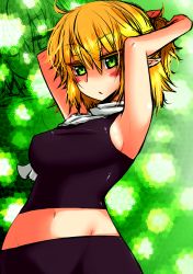 Rule 34 | 1girl, adjusting hair, armpits, arms up, bike shorts, black shorts, blonde hair, blush, breasts, commentary request, cowboy shot, green background, green eyes, half updo, looking at viewer, medium breasts, midriff, mizuhashi parsee, navel, open mouth, pointy ears, roki (hirokix), scarf, short hair, short ponytail, shorts, sideboob, solo, sports bra, touhou, white scarf