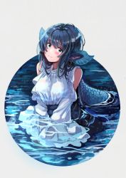 Rule 34 | 159cm, 1girl, bare shoulders, blue eyes, blue hair, blue scales, closed mouth, clothing cutout, ear piercing, fins, fish girl, frilled sleeves, frills, grey background, head fins, highres, long hair, long sleeves, looking at viewer, monster girl, original, partially submerged, piercing, pointy ears, scales, shoulder cutout, simple background, smile, solo, upper body, water
