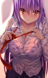 Rule 34 | 1girl, animal ears, black bra, blush, bra, breasts, cleavage, closed mouth, expressionless, gradient background, highres, hijikawa arashi, large breasts, long hair, looking at viewer, necktie, purple hair, rabbit ears, red eyes, reisen udongein inaba, see-through, simple background, solo, standing, touhou, underwear, undone necktie, wet, wet clothes, white background