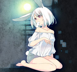 Rule 34 | 1girl, animal ears, bare shoulders, rabbit ears, rabbit tail, food, hisato ar, kneeling, mouth hold, off shoulder, original, red eyes, short hair, shorts, sitting, solo, tail, tsukimi, wagashi