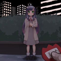 Rule 34 | 1girl, 1other, alternate costume, black footwear, black hair, blush, building, bush, commentary request, dress, gradient hair, green eyes, grey hairband, hairband, highres, holding, kantai collection, long hair, long sleeves, looking at viewer, matsuwa (kancolle), multicolored hair, name tag, night, outdoors, pov, purple hair, shoes, socks, solo focus, tsuzuri (tu-san house), very long hair, white socks