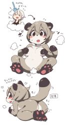 Rule 34 | artist request, breasts, brown eyes, brown hair, censored, furry, highres, raccoon, transformation