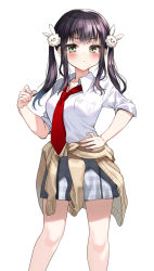 Rule 34 | 1girl, blush, brown sweater, closed mouth, eyes visible through hair, green eyes, grey skirt, hair ornament, hand on own hip, indie virtual youtuber, long hair, mole, mole under eye, necktie, nishizaa-san, nishizawa, original, plaid, plaid skirt, purple hair, red necktie, simple background, skirt, sleeves rolled up, solo, sweater, sweater around neck, twintails, virtual youtuber, white background