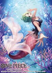 Rule 34 | 1girl, black tank top, bracelet, breasts, brown eyes, bubble, camie (one piece), cleavage, commentary request, copyright name, coral, green hair, highres, in water, jewelry, koushi rokushiro, large breasts, looking at viewer, looking back, mermaid, monster girl, necklace, official art, one piece, open mouth, outstretched arms, short hair, tank top, underwater