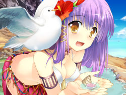 Rule 34 | 1girl, ass, bad id, bad pixiv id, beach, bird, blush, breasts, butt crack, cleavage, cupping hands, day, fang, female focus, flower, girl m, hair flower, hair ornament, happy, hibiscus, hougu souji, long hair, medium breasts, open mouth, original, outdoors, own hands together, purple hair, seagull, seashell, shell, skirt, sky, solo, water, yellow eyes