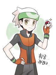 Rule 34 | 1boy, beanie, black hair, brendan (pokemon), brown eyes, chirosamu, closed mouth, commentary request, cowboy shot, creatures (company), fingerless gloves, game freak, gloves, hand on own hip, hand up, hat, highres, holding, holding poke ball, korean text, looking at viewer, male focus, nintendo, poke ball, poke ball (basic), pokemon, pokemon emerald, pokemon rse, popped collar, short hair, short sleeves, smile, solo, sparkle, white hat, wristband